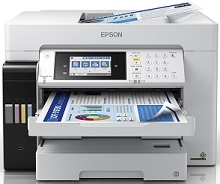 Driver for Epson EcoTank L15160