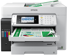 Driver for Epson EcoTank Pro ET-16600
